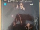 QUAD SHRINK NM DAVID GATES Never Let Her Go 1975 ELEKTRA LP w/INSERT