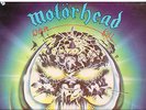Motorhead . GREEN 12