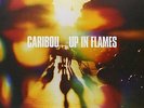 Caribou Up in Flames Vinyl LP Record & bonus cd  aka Dan Snaith Manitoba  NEW