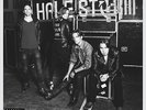 HALESTORM INTO THE WILD LIFE DELUXE DOUBLE LP VINYL & CD NEW 33RPM