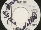 BAD ROADS on MSL —BLUE GIRL— garage punk fuzz rock 45 | RARE PROMO | LISTEN
