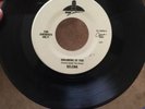 Selena 45 Rpm Record