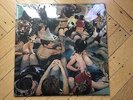 Panda Bear Person Pitch 2xLP Vinyl 2007 Pawtracks