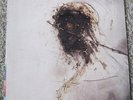 Peter Gabriel - Passion - Geffen 1989 - 2LP - Last Temptation Of Christ - NM