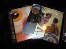 The Magnetic Fields Holiday and Love at the bottom of the sea vinyl lps