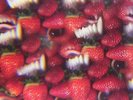 Thee Oh Sees - Floating Coffin LP - VINYL ALBUM - SEALED RECORD + DL