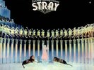 Stray Saturday Morning Pictures UK vinyl LP album record TRA248 TRANSATLANTIC