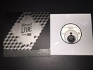 Built To Spill Good Enough Flexi Disc Single Non LP Modest Mouse
