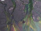 Alt-J Awesome Wave Vinyl LP New