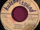 PAD ANTHONY Suddenly Killer Digi 45