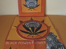 BRANT BJORK – BLACK POWER FLOWER (KYUSS, FU MANCHU, VISTA CHINO) FIRST PRESS