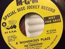 Original THE CHEROKEES A Wonderous Place/Seven Daffodils MGM DJ 13334 MOD Soul