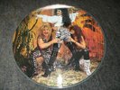 OZZY OSBOURNE: Ultimate Sin Live  Picture Disc Vinyl Rare Jake E Lee