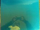 PLASTIC ONO BAND Live Peace In Toronto 1969 LP OOP SEALED Apple w/calendar