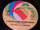 Snotty Garage Punk Psych 45 Druids Of Stonehenge Garden Where Nothing Grows HEAR