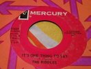 Snotty Chicago Garage Punk 45 The Riddles It's One Thing To Say HEAR