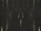 Impetuous Ritual - Unholy Congregation Of Hypocritical Ambivalence Vinyl US 2LP