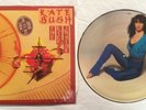 Kate Bush The Kick Inside LP [Emi] 1979 Limited UK Picture Disc Rare Record NM