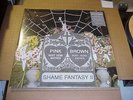 LP:  PINK & BROWN - Every Shade Of  2xLP NEW SEALED TY SEGALL THEE OH SEES