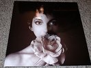 Kate Bush The Sensual World 180g LP Audio Fidelity #2462 MINT