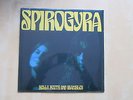 SPIROGYRA Bells Boots And Shambles Reissue vinyl LP Tapestry Records New/Sealed