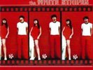 The White Stripes-The White Stripes VINYL NEW
