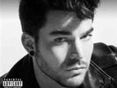 Adam Lambert-The Original High Vinyl / 12