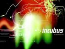 INCUBUS**MAKE YOURSELF (180 GRAM/GATEFOLD)**2 VINYL SET