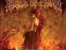 Nymphetamine - CRADLE OF FILTH [2x LP]