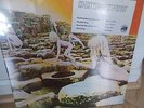 LED ZEPPELIN Houses Of The Holy '77 Record Club edition w sticker SEALED RARE