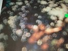 SEALED & OPUT OF PRINT Pink Floyd 