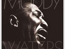 MUDDY WATERS-MANNISH BOY/BEST OF MUDDY WATERS-VINYL LP (2) VINYL PASS NEU