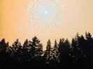 THE DECEMBERISTS THE KING IS DEAD LP VINYL NEW 2011 33RPM