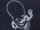 SIGUR ROS Agaetis Byrjun 2 x 180gm Vinyl LP + CD 2015 NEW & SEALED