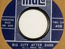 RAY VERNON & RAYMEN Big City After Dark MALA 45 garage inst LINK WRAY 7” Orig. ‘