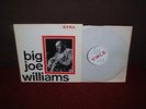 BIG JOE WILLIAMS s/t LP 1966 MONO 1st Press AMAZING BLUES RARITY
