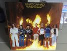 Lynyrd Skynyrd Street Survivors 1977 MCA Vinyl LP Album Flame Cover & Insert VG+
