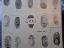 Gray Shades Of Vinyl LP Jean Michel Basquiat Band Numbered vincent gallo vinyl