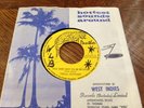 Tinga stewart/you just got to be in love in nm reggae 45