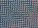 Animal Collective Merriweather Post Pavilion Vinyl