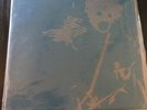 Burial Vs Massive Attack Inhale Gold Paradise Circus Vinyl Rare 602/1000 Mint