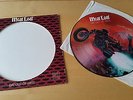 MEATLOAF BAT OUT OF HELL  VINYL RECORD