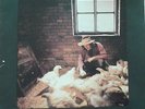 GORDON VERTIGO LP ORIGINAL RARE 1972 6360 069 UK GORDON WALLER SWIRL