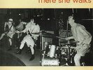 Sg    -   THE 5 TORQUAYS    -  BOYS ARE BOYS   -