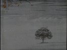 Genesis / Wind & Wuthering Rare Spain Gatefold LP Charisma 9124 003 Hatter