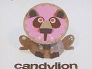 Gruff Rhys - Candylion (NEW 12