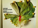 LP:Keiki MIdorikawa  Grune Revolution PROMO Masayuki Takayanagi-Japan Avant Jazz