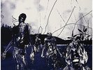 Written in Waters [VINYL] Ved Buens Ende Vinyl