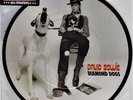 David Bowie - Diamond Dogs - 40th Anniversary 7