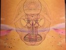 Rare Devendra Banhart What Will We Be 2LP Gatefold Mint 2009 Freak Folk Oop